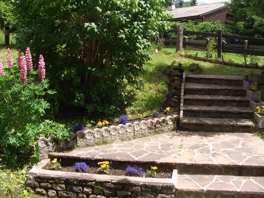 팔카데 Mountain Chalet Cime D'Auta Dolomiti 아파트 외부 사진