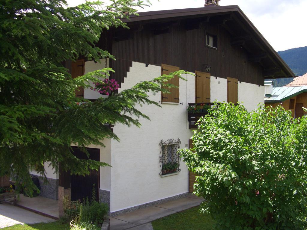 팔카데 Mountain Chalet Cime D'Auta Dolomiti 아파트 외부 사진